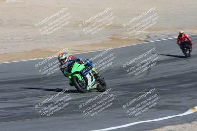 media/Feb-04-2024-SoCal Trackdays (Sun) [[91d6515b1d]]/4-Bowl Backside (11am)/